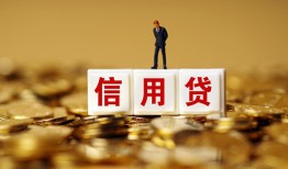 深圳信用哪有个人借贷-深圳信用小额贷款公司-深圳信用私借空放免费上门